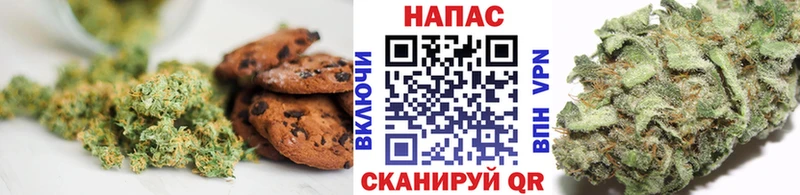 Canna-Cookies марихуана  Купить где  Каменногорск 