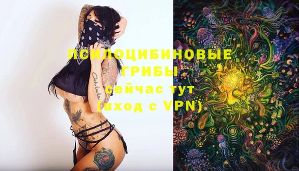 мяу мяу кристалл Мегион