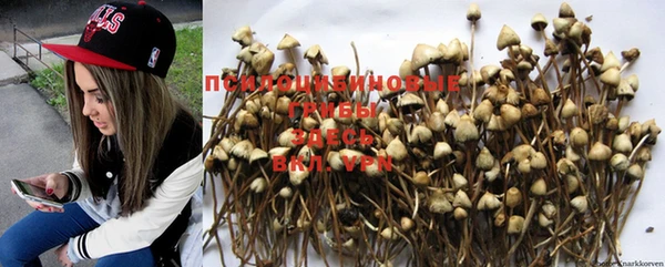 MESCALINE Медвежьегорск